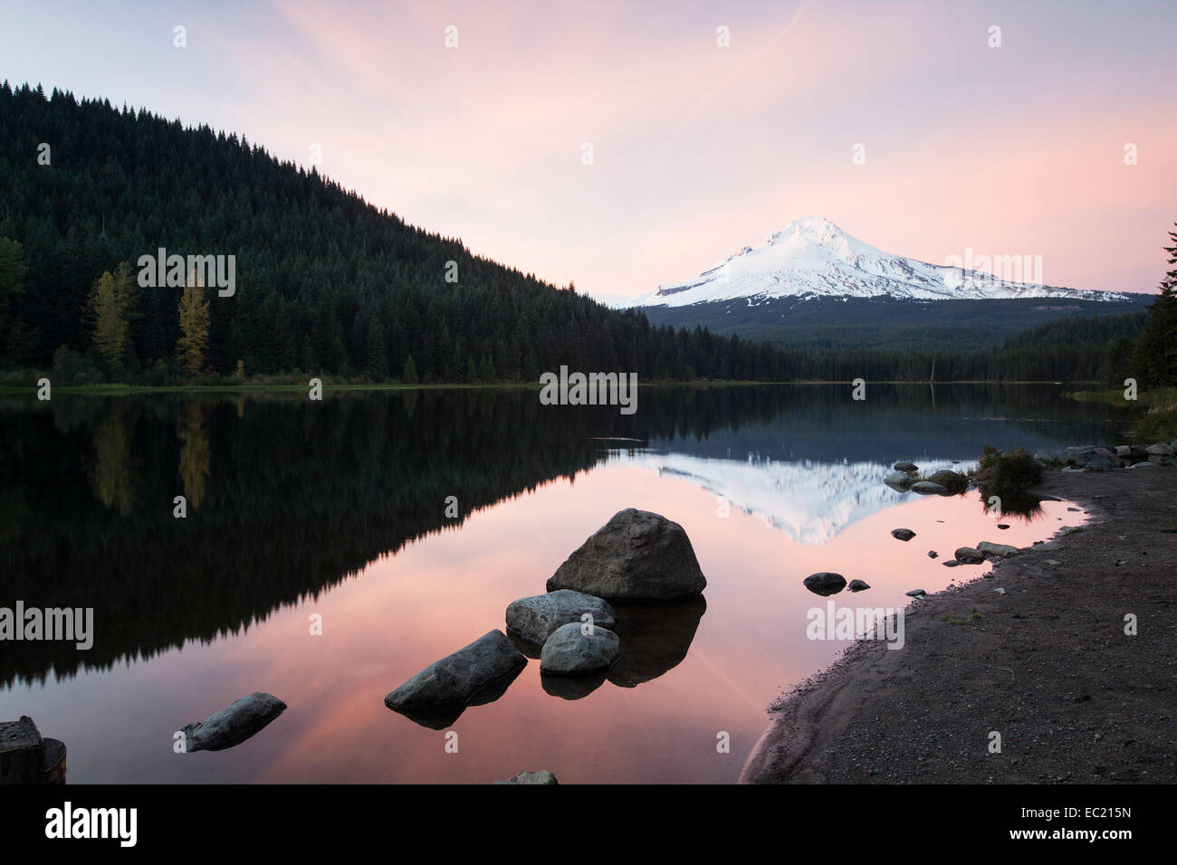 Trillium lago con il monte Cofano, clackamas county, Oregon, Stati Uniti Foto Stock