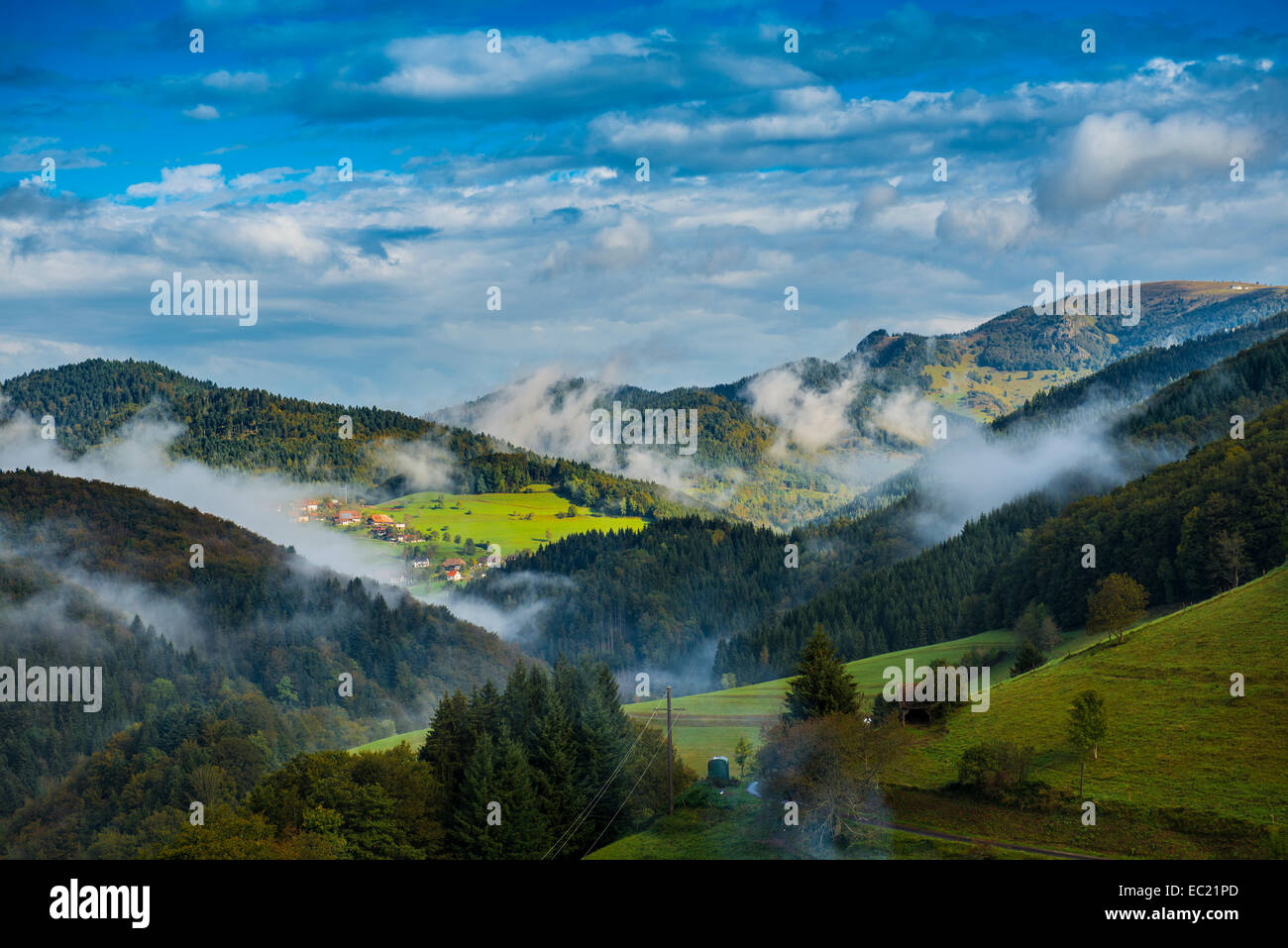 Atmosfera mattutina, Kleines Wiesental, Foresta Nera meridionale, foresta nera, Baden-Württemberg, Germania Foto Stock