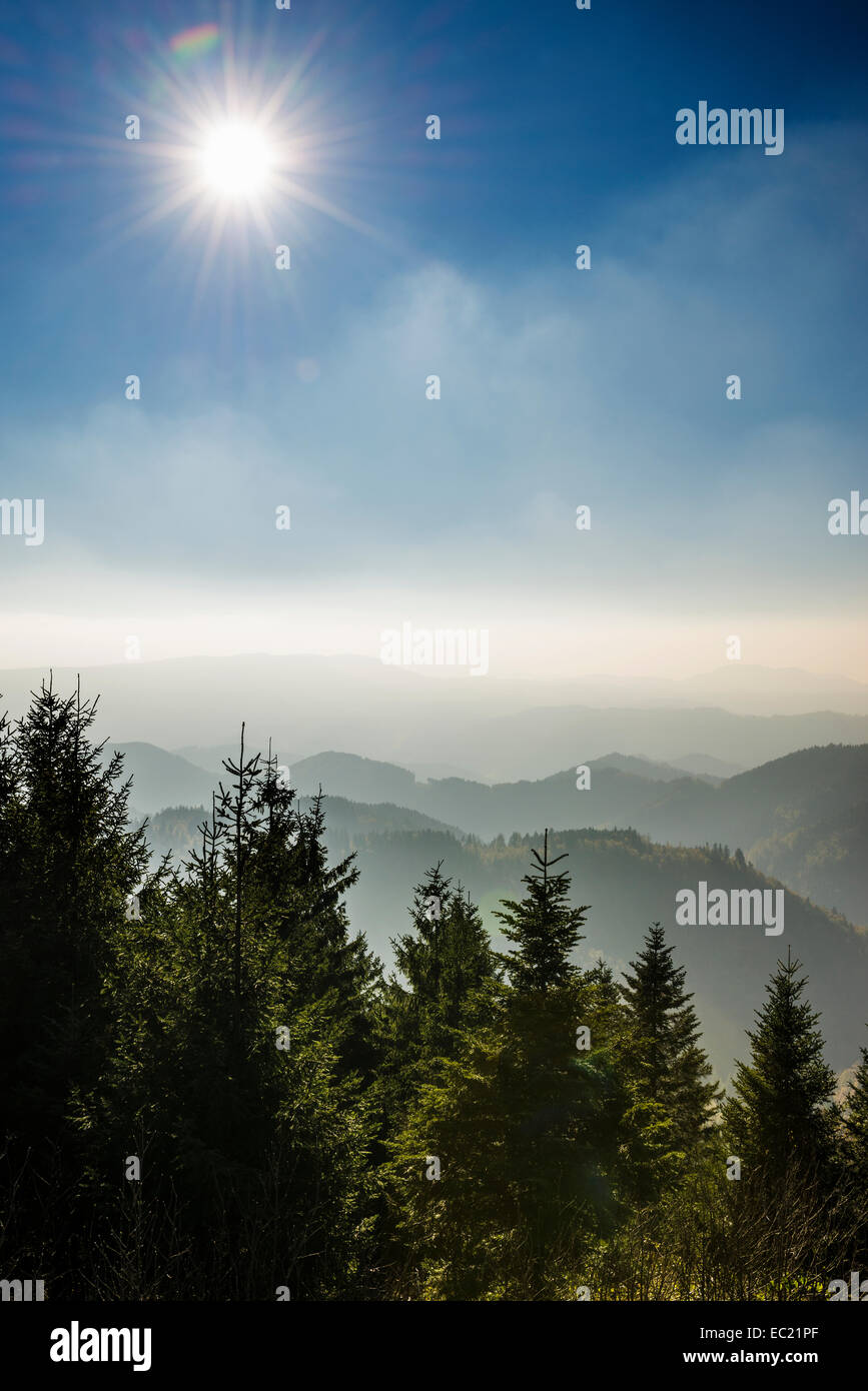 Sul Schliffkopf, Black Forest National Park, Foresta Nera, Baden-Württemberg, Germania Foto Stock