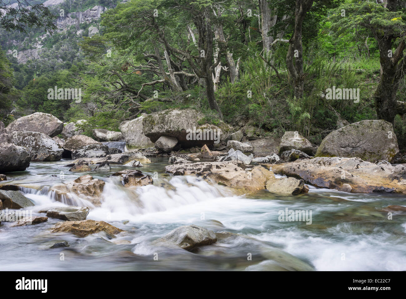 Creek, Neuquén Provincia, Argentina Foto Stock