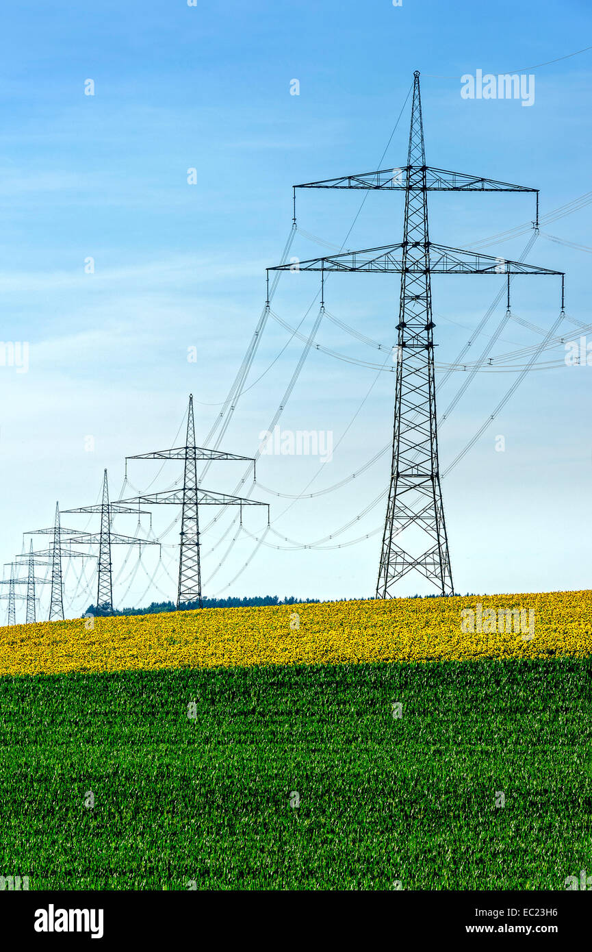 Linea di trasmissione di energia elettrica attraverso un campo di girasoli, Altomünster, Alta Baviera, Baviera, Germania Foto Stock