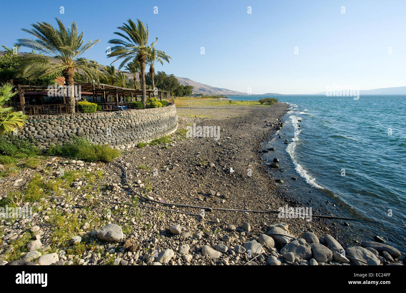 La spiaggia sulla costa orientale del Mare di Galilea in Israele Foto Stock