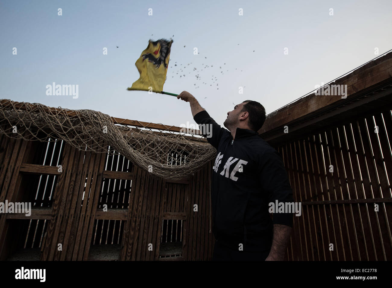 Il Cairo, Egitto. Xiii Nov, 2014. Mohamed Refaat, 24, un piccione egiziano di fantasia, onde bandiera per guidare i piccioni sorvolano il loft costruita sulla sommità del suo edificio nel quartiere Mohandesen, a ovest del Cairo, Egitto, su nov. 13, 2014. Mohamed Refaat ha iniziato a sollevare i piccioni in quanto egli era un adolescente e ora egli spende circa 5 ore al giorno per prendersi cura dei suoi alcuni 800 piccioni come il suo hobby. © Pan Chaoyue/Xinhua/Alamy Live News Foto Stock