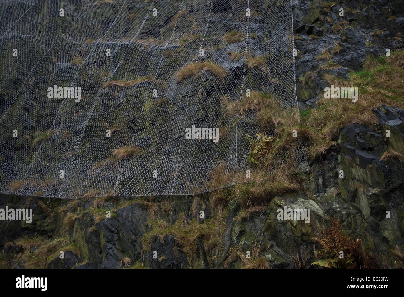 Maglia di sicurezza per la protezione dalla caduta di massi su Castle Rock nel centro della città di Edimburgo Regno Unito Scozia Foto Stock