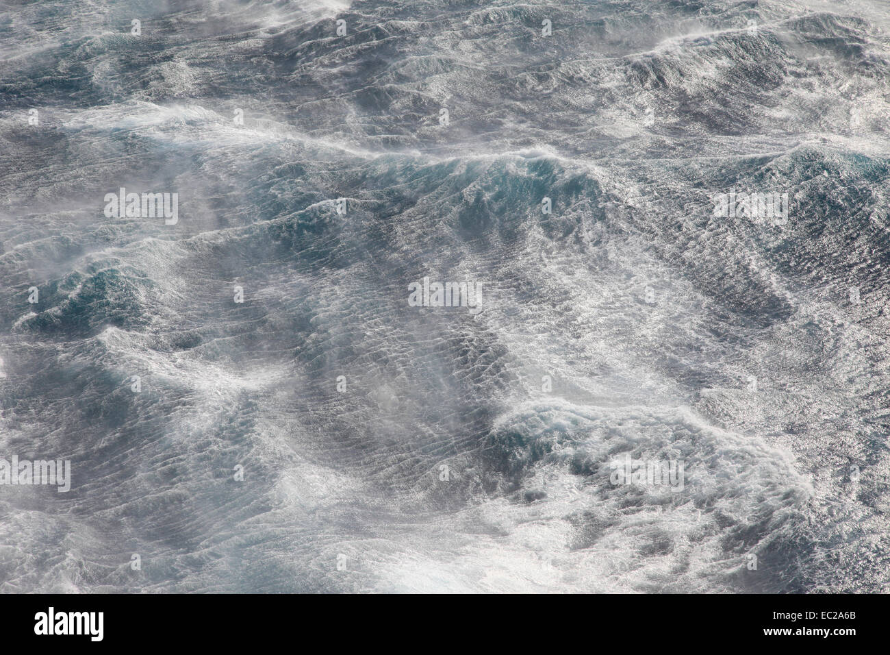 Forza uragano si snoda fino a frusta la ocean spray Foto Stock