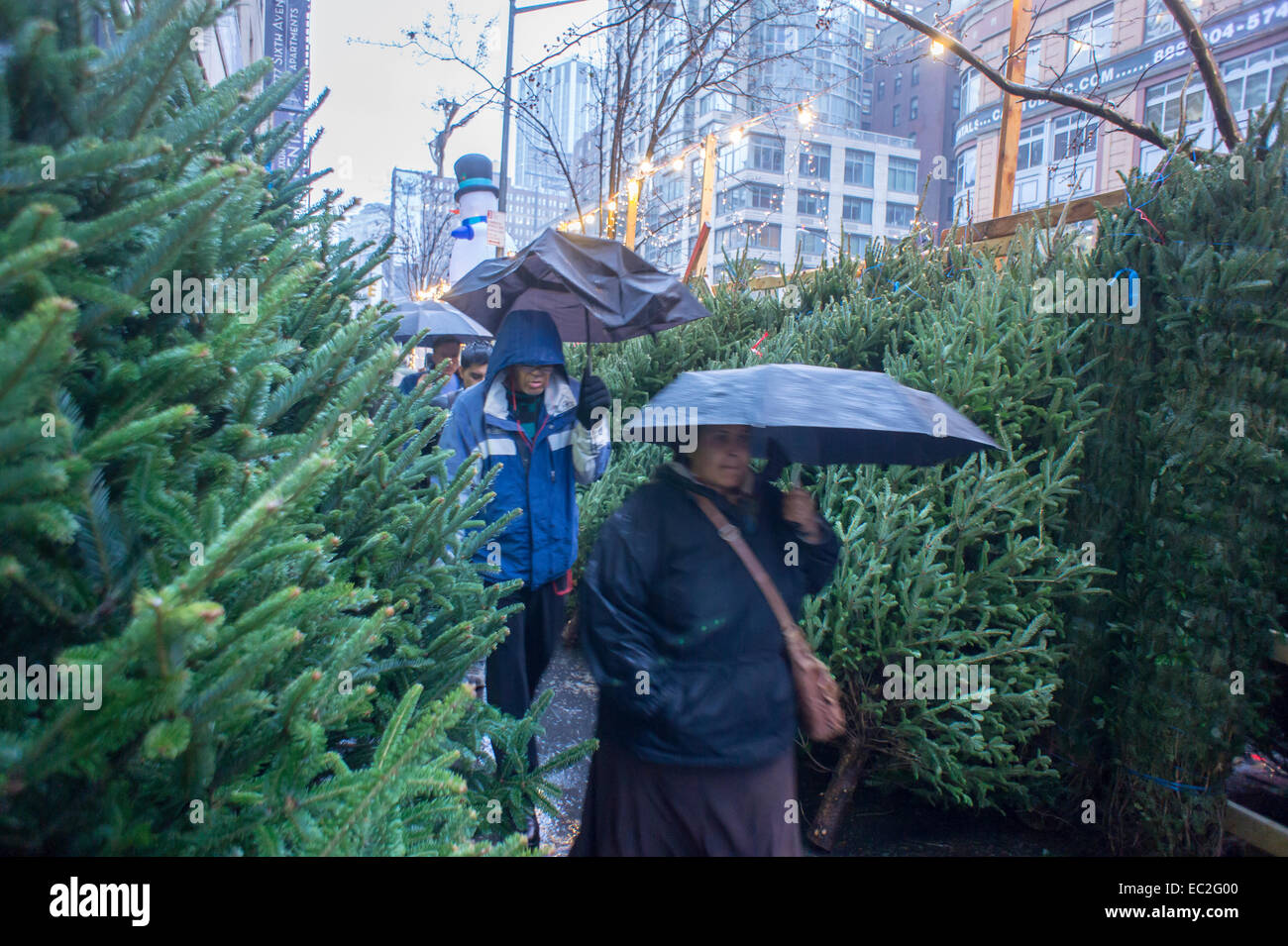 Albero Di Natale 94.Alberi Di Natale E Decorazioni In Vendita Nel Quartiere Di Chelsea Di New York Sabato 6 Dicembre 2014 Secondo La American Albero Di Natale Associazione Lo Scorso Anno Gli Americani Hanno Mostrato