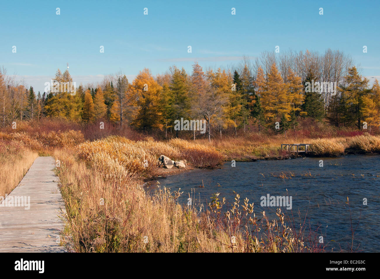 Cree comunità indigena di Mistissini nel territorio Cree di James Bay a nord-est Québec Canada Foto Stock