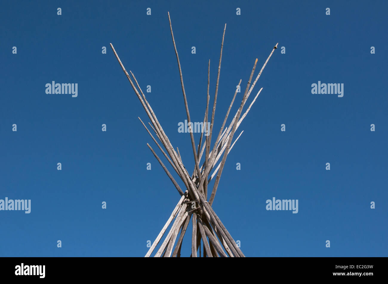 NativeTipi Foto Stock
