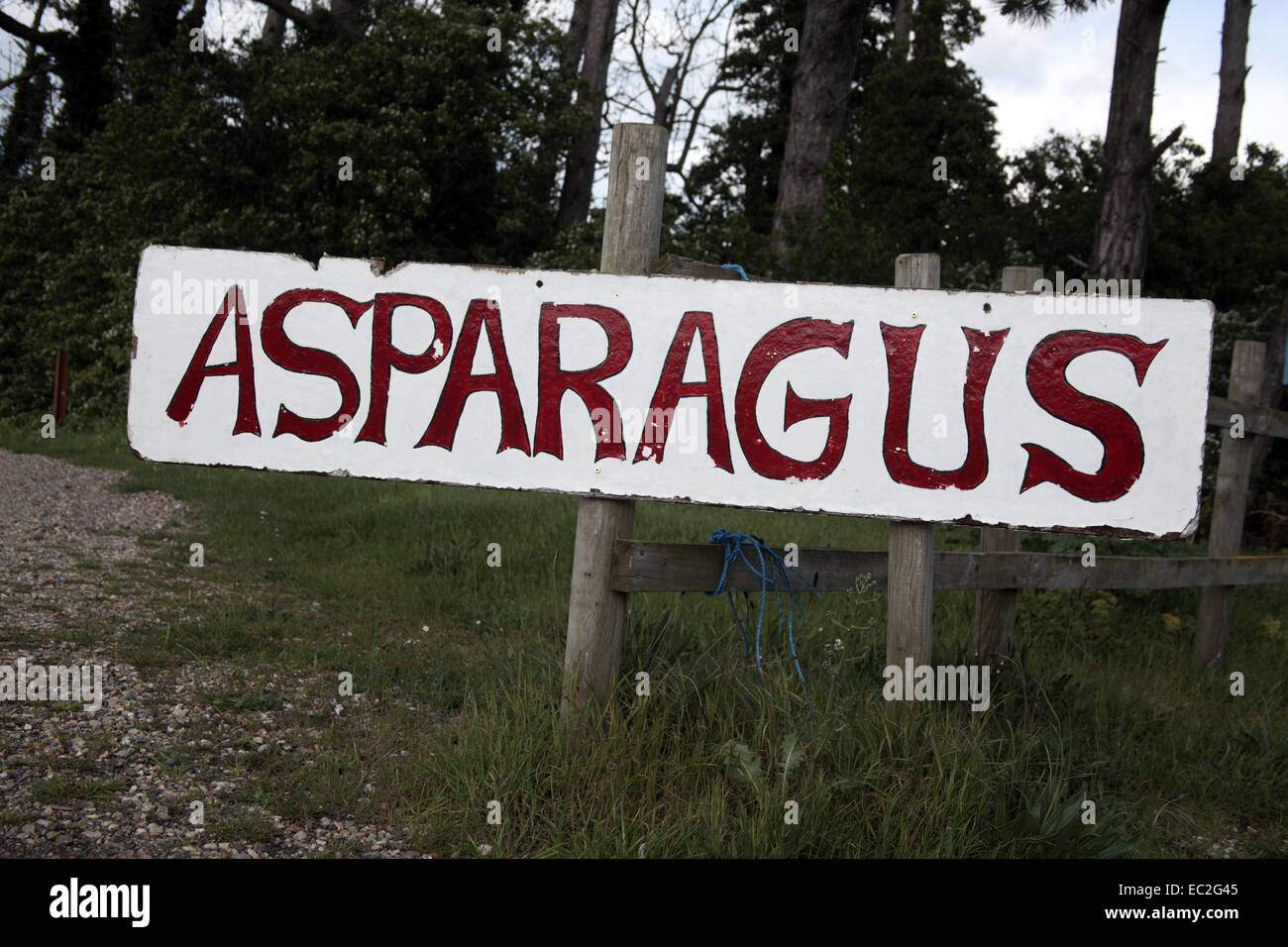 Segno per gli asparagi a Wiveton Hall Farm, Blakeney, Norfolk, Inghilterra Foto Stock