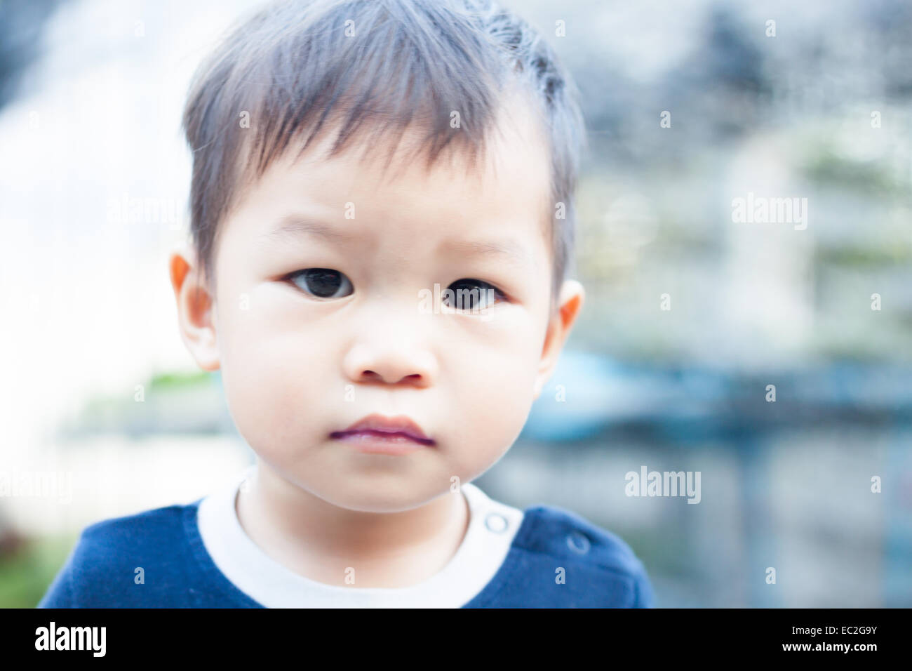 Little Boy asiatici guardare fotocamera , stock photo Foto Stock