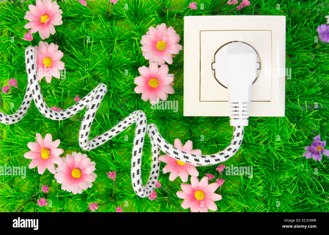 Presa elettrica con spina di alimentazione sull'erba verde con fiori Foto Stock