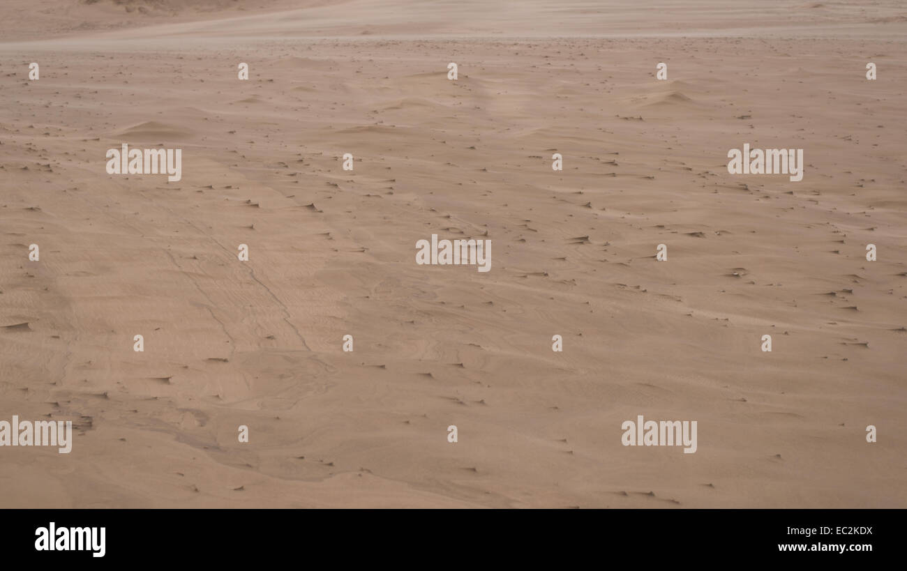 Macro di piccole sculture di sabbia su una duna formata dalla tempesta e vento Foto Stock
