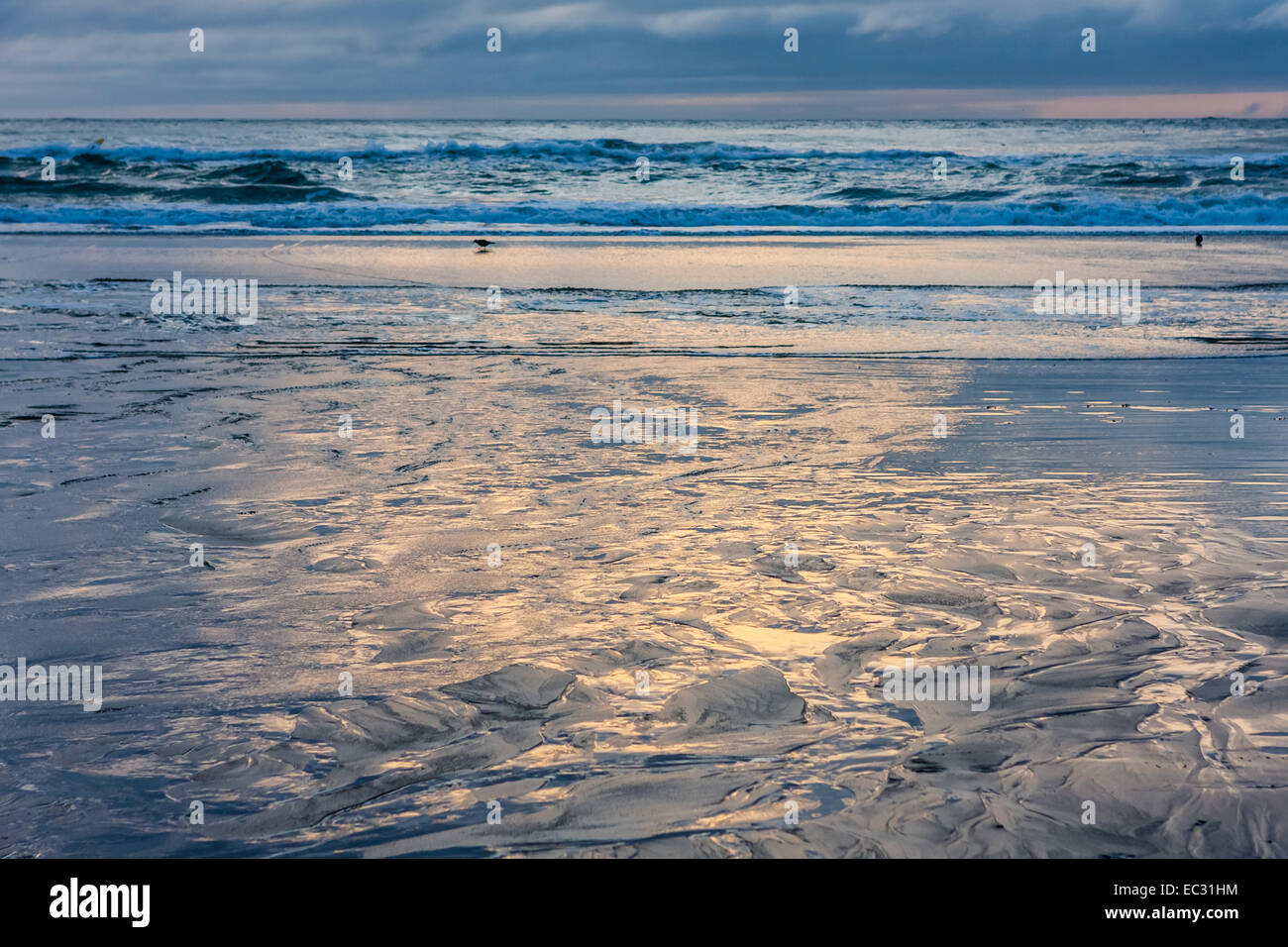 Tramonto a Ocean Beach a San Francisco, California. Foto Stock