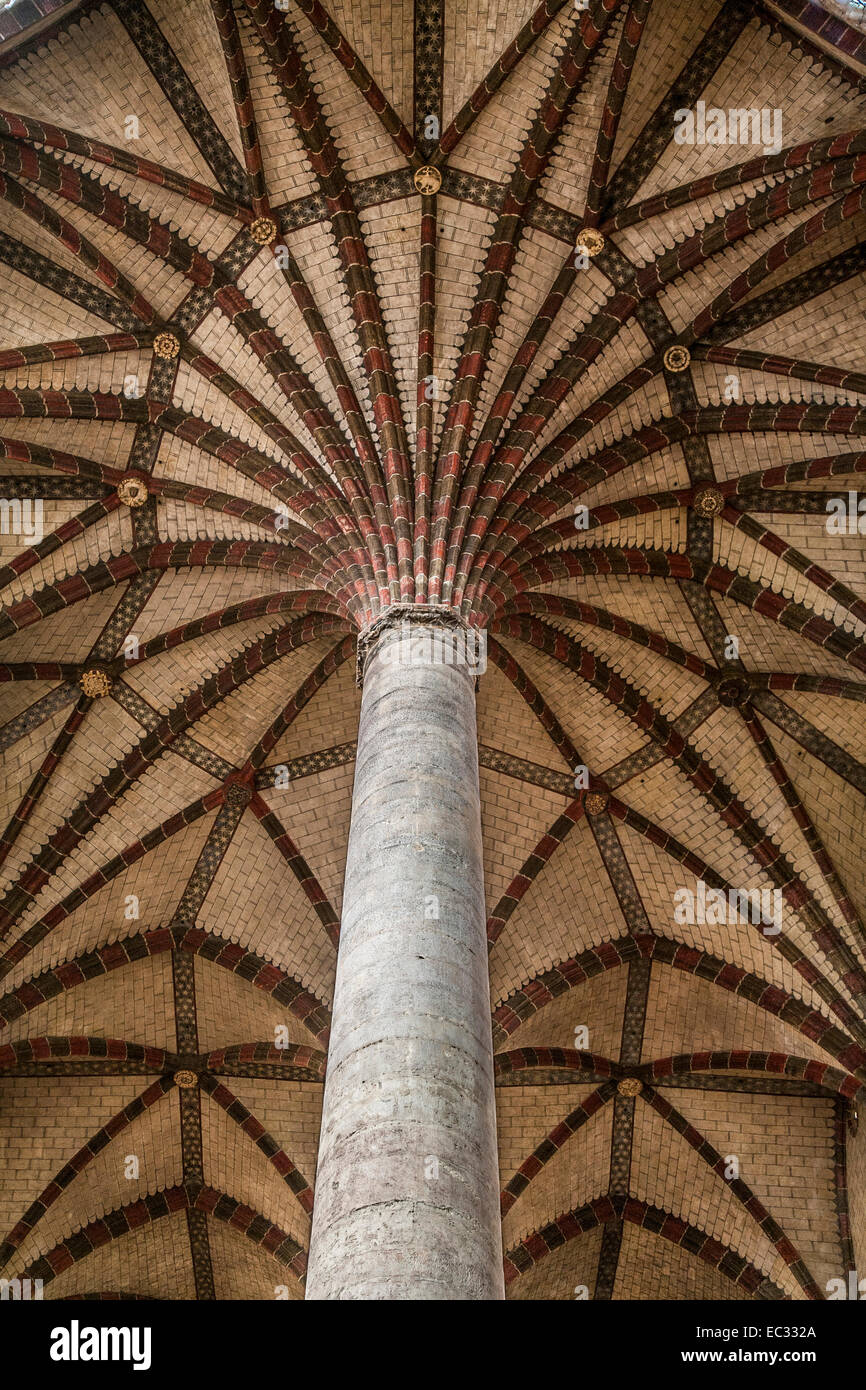 Francia, Haute Garonne, Toulouse, soffitto a volte di Les giacobini chiesa formando quello che è noto come les palmier, o gli alberi di palma. Foto Stock