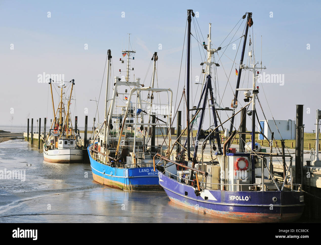 Porto di pesca, Wremen, Bassa Sassonia, Germania Foto Stock