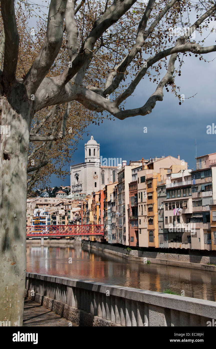Girona case sospese sopra il fiume Onyar ( Il Duomo ed il campanile di Sant Feliu chiesa ) Girona Catalogna Spagna - Spagnolo Foto Stock