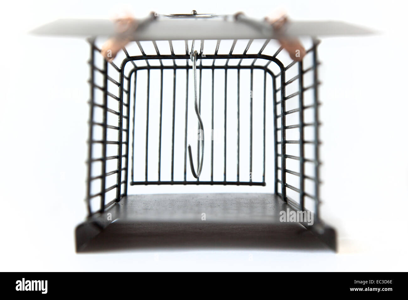 Mousetrap isolato su bianco Foto Stock