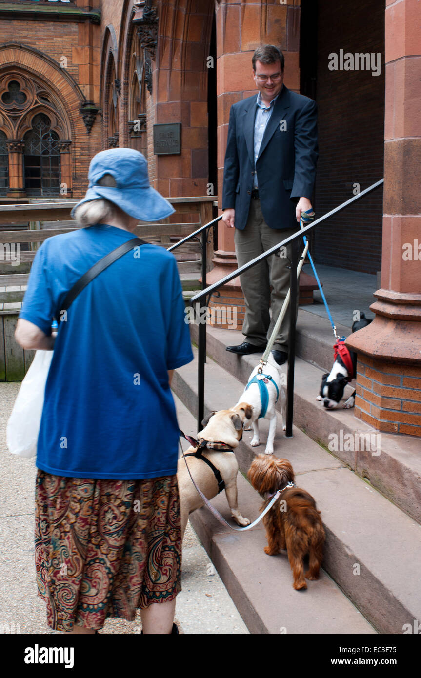 Camminatori del cane cani a piedi nella città di New York. Manhattan zampata di principale interesse è di fornire la migliore cura per i cani di NYC. "La gente mi Foto Stock