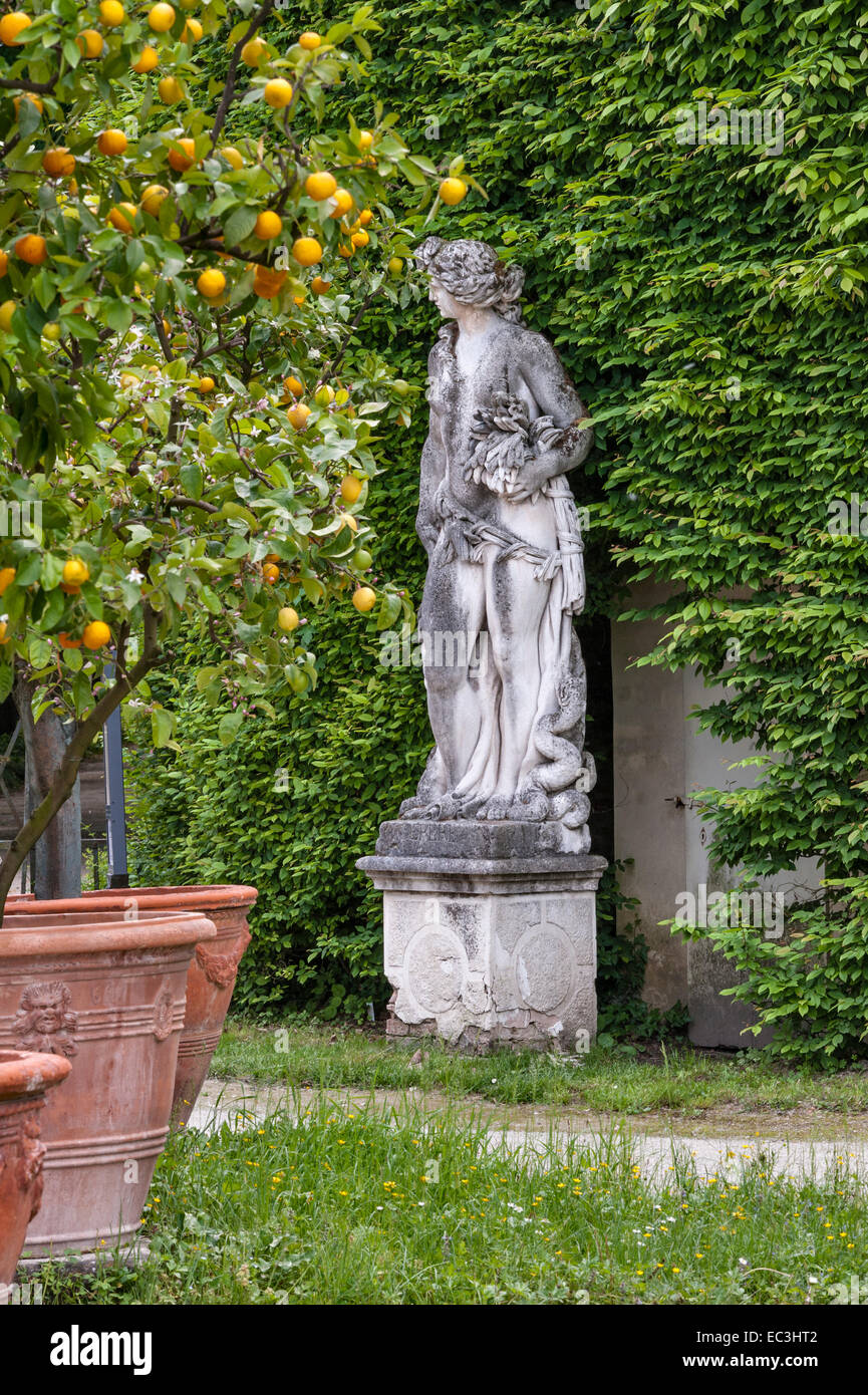 Nel giardino degli agrumi di Villa Pisani, Stra, Italia. Una statua della dea romana Cerere di fronte a una siepe a carpino (carpinus) Foto Stock