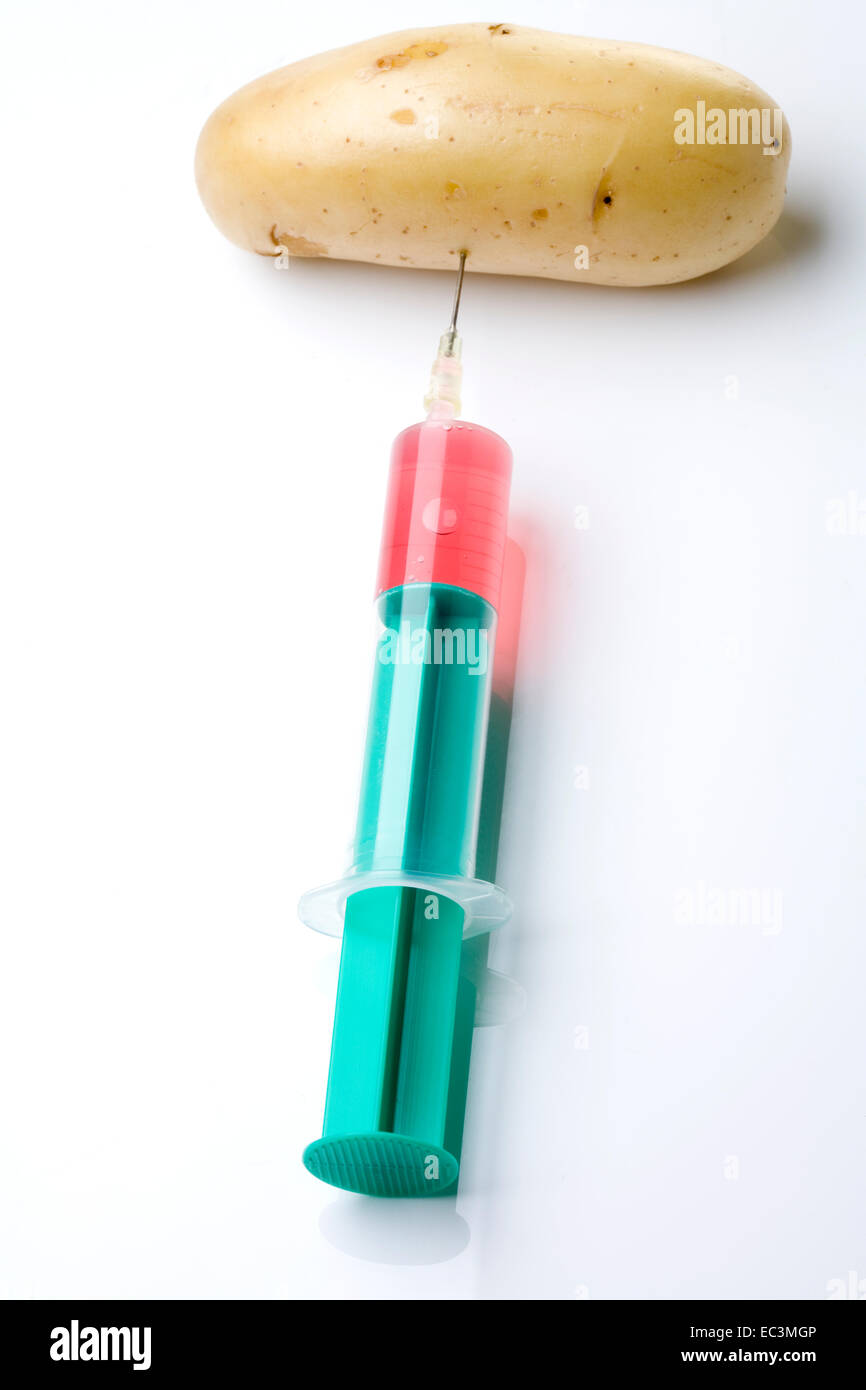 Ingegneria genetica sul cibo Foto Stock