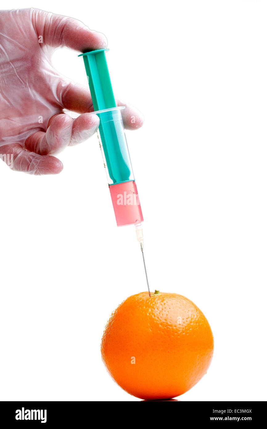 Ingegneria genetica sul cibo Foto Stock