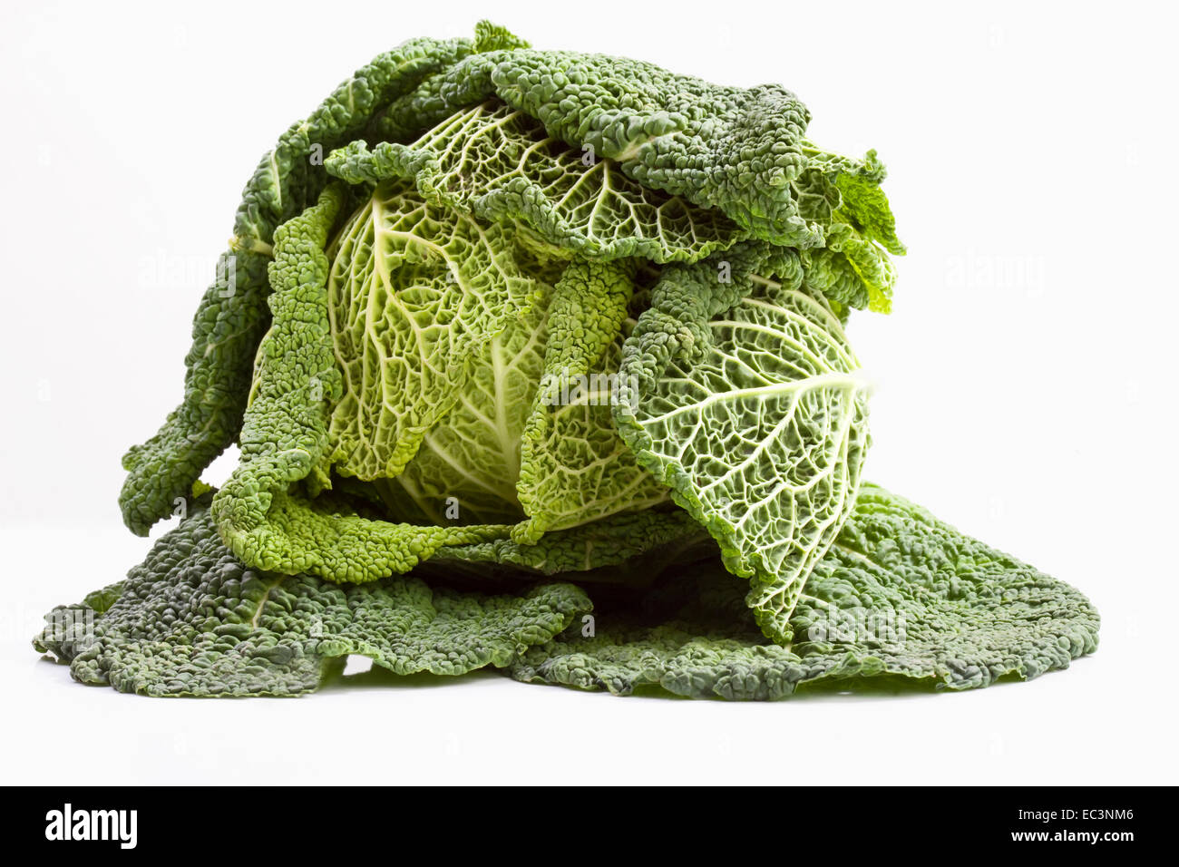 Cavolo Foto Stock