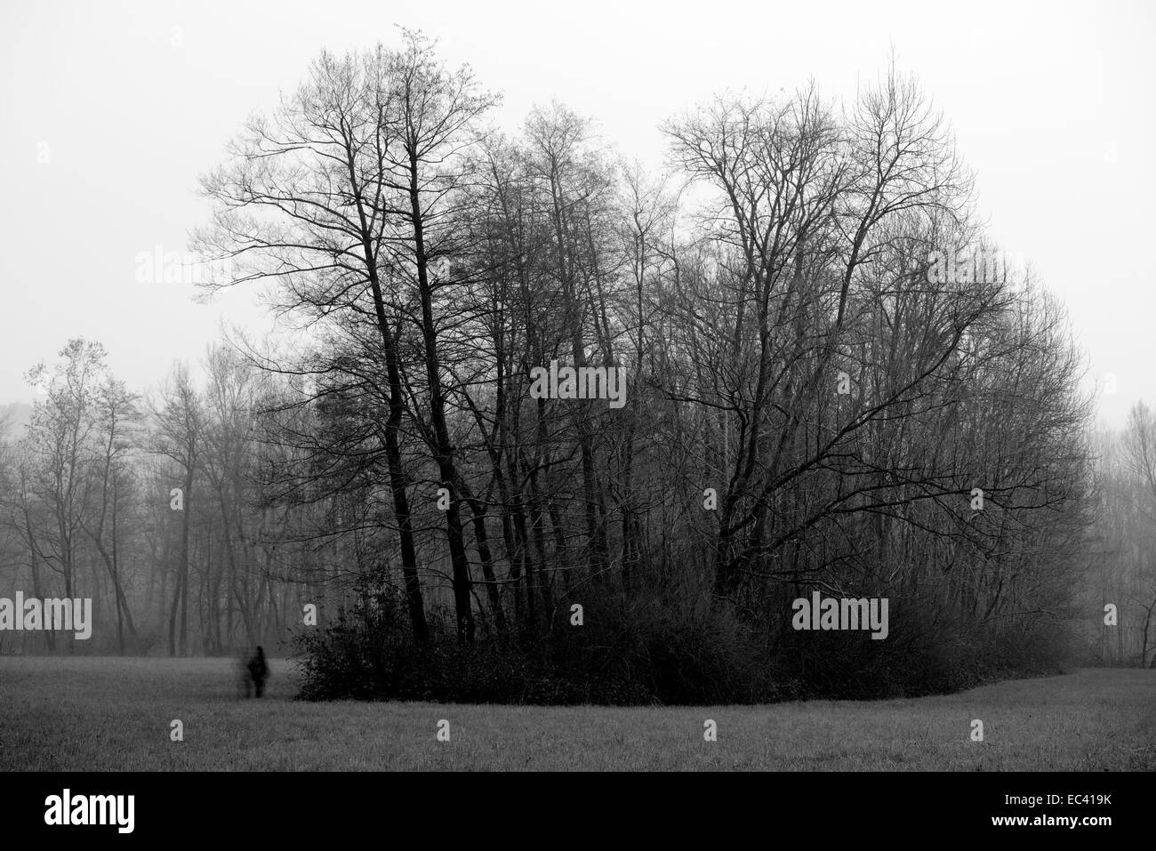 Paesaggio di campagna con una persona che figura nella distanza Foto Stock