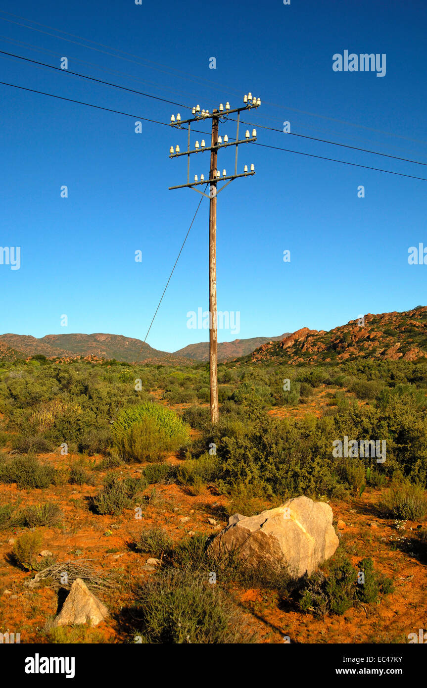 In legno antico palo telefonico in piedi da solo e perso in Karoo deserto paesaggio, Northern Cape, Sud Africa Foto Stock