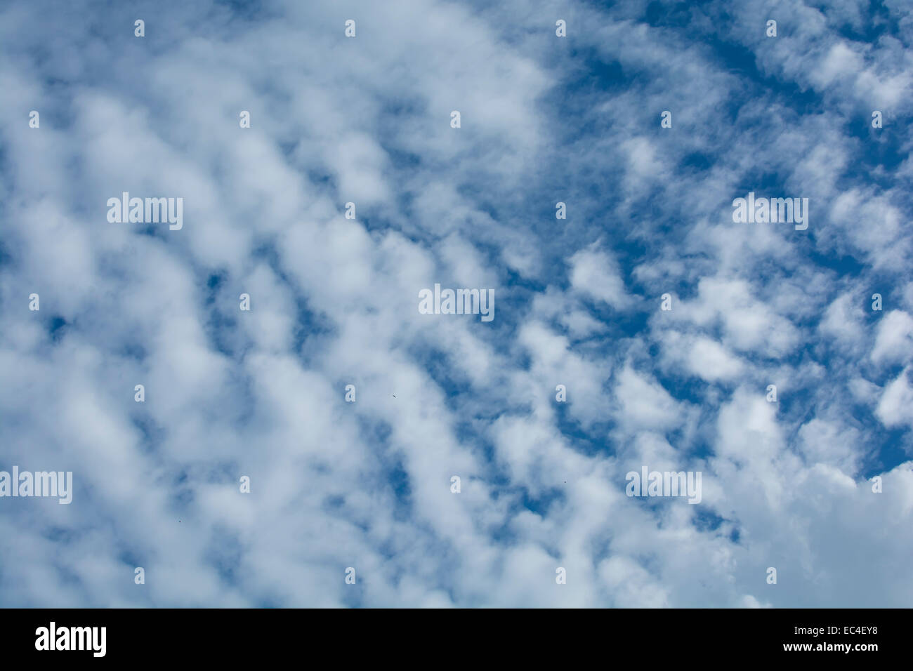 Soffici nuvole bianche contro un cielo blu Foto Stock