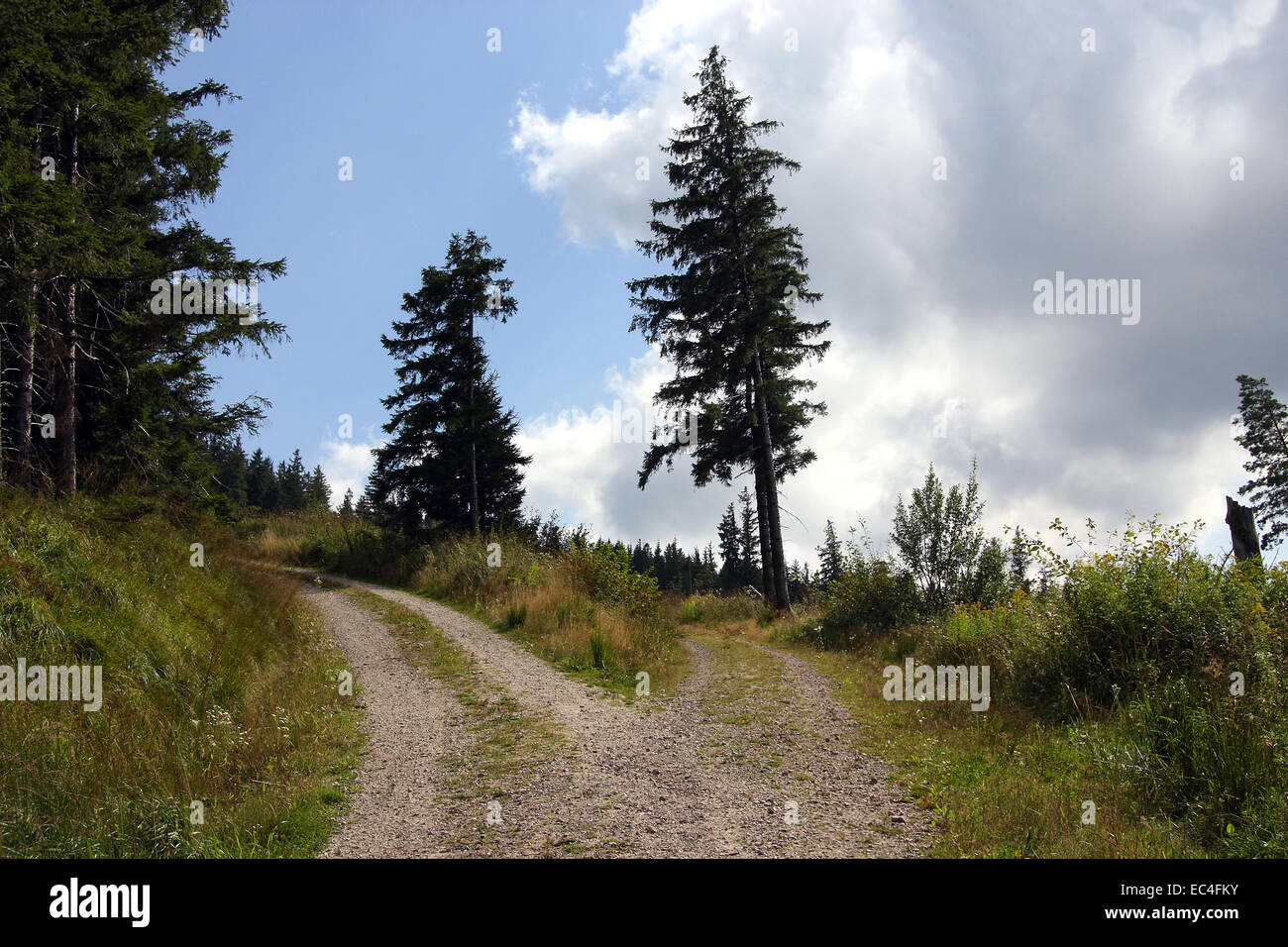 il modo giusto Foto Stock