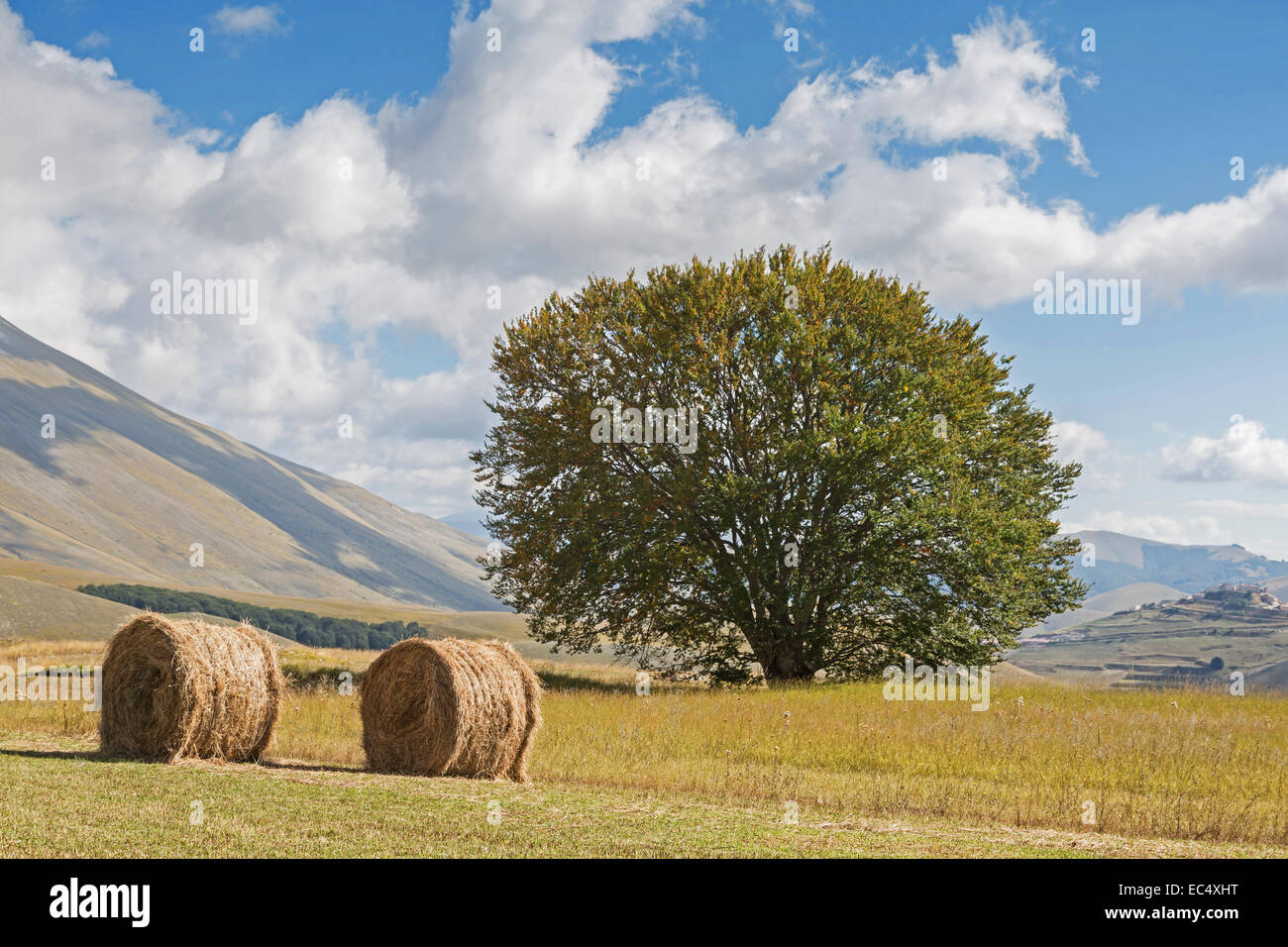 Il fieno raccolto sul piano Grande in montagna Sibellini Foto Stock