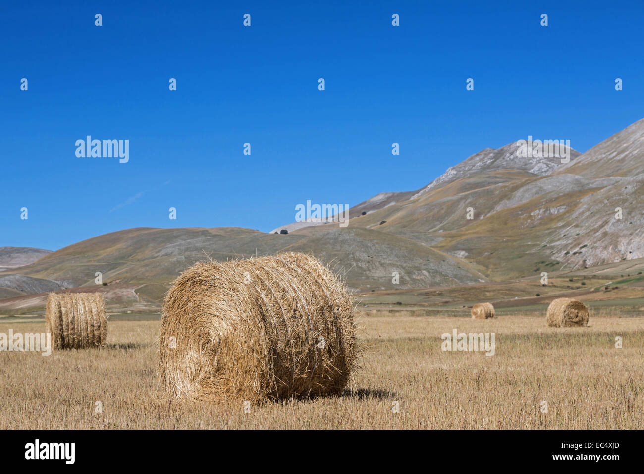 Il fieno raccolto sul piano Grande in montagna Sibellini Foto Stock