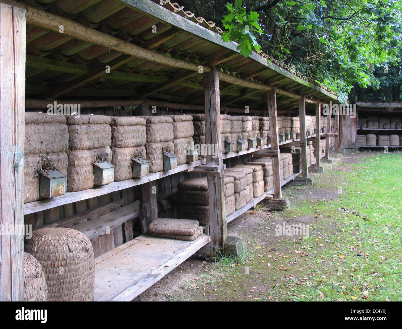 Heath apiario in Hermannsburg in Lueneburg Heath. Il supporto è dotato di appositi cesti di paglia. Questo Kanitz ceste sono tradizionali arnie del heath apicoltore. Foto: Klaus Nowottnick Data: 30 Luglio 2009 Foto Stock