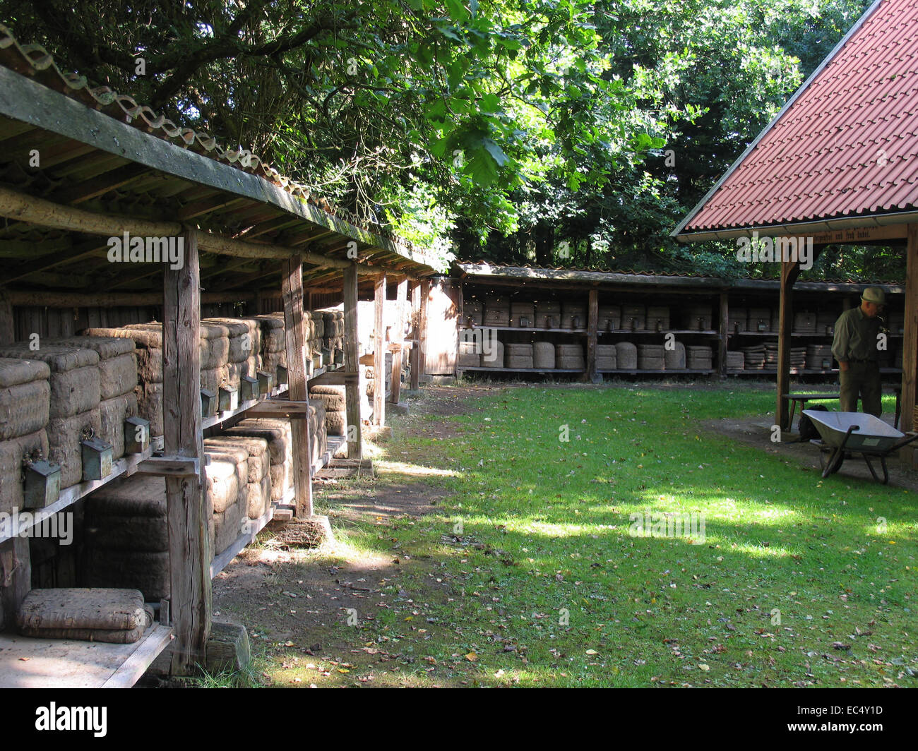 Heath apiario in Hermannsburg in Lueneburg Heath. Il supporto è dotato di appositi cesti di paglia. Questo Kanitz ceste sono tradizionali arnie del heath apicoltore. Foto: Klaus Nowottnick Data: 30 Luglio 2009 Foto Stock