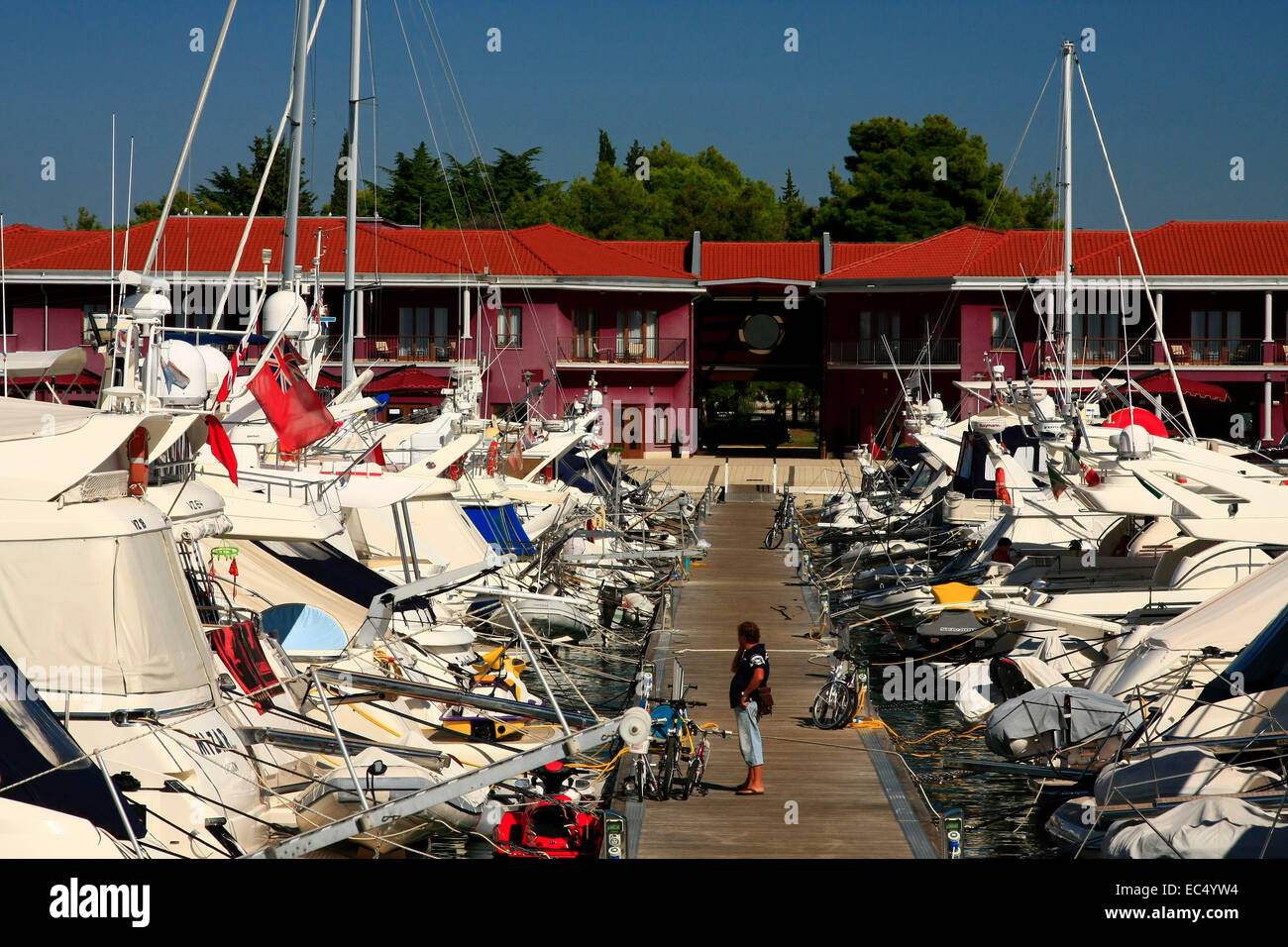 Croazia, Istrien, Marina Cittanova Foto Stock