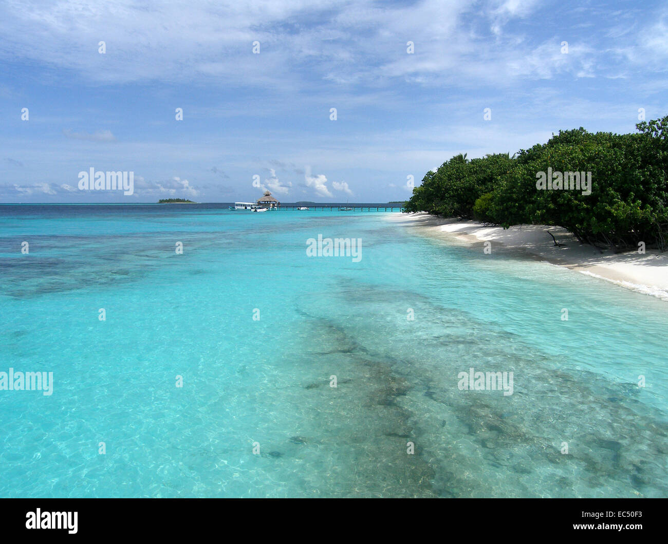 spiaggia Foto Stock