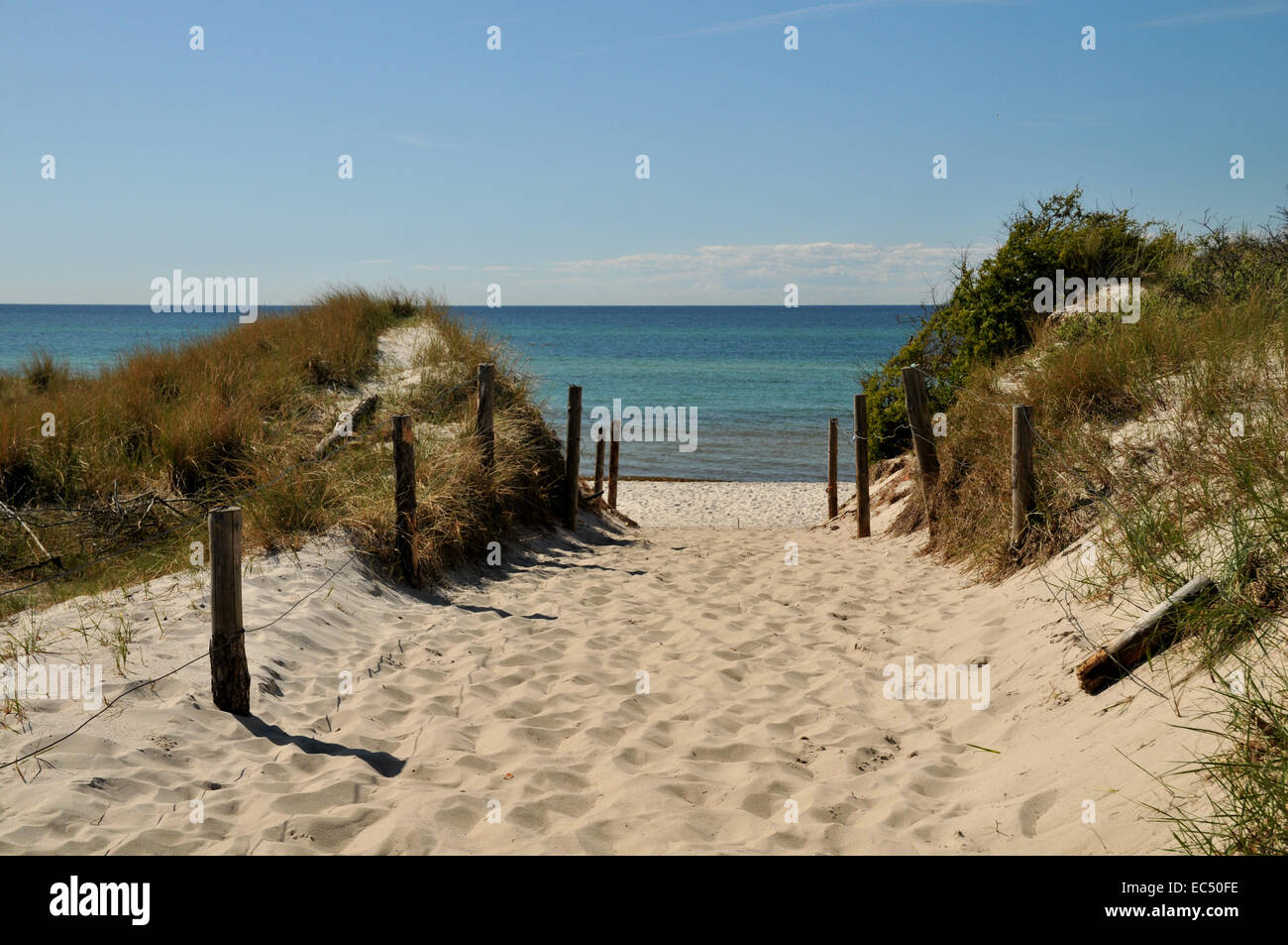 Accesso alla spiaggia dell'oceano immagini e fotografie stock ad alta ...