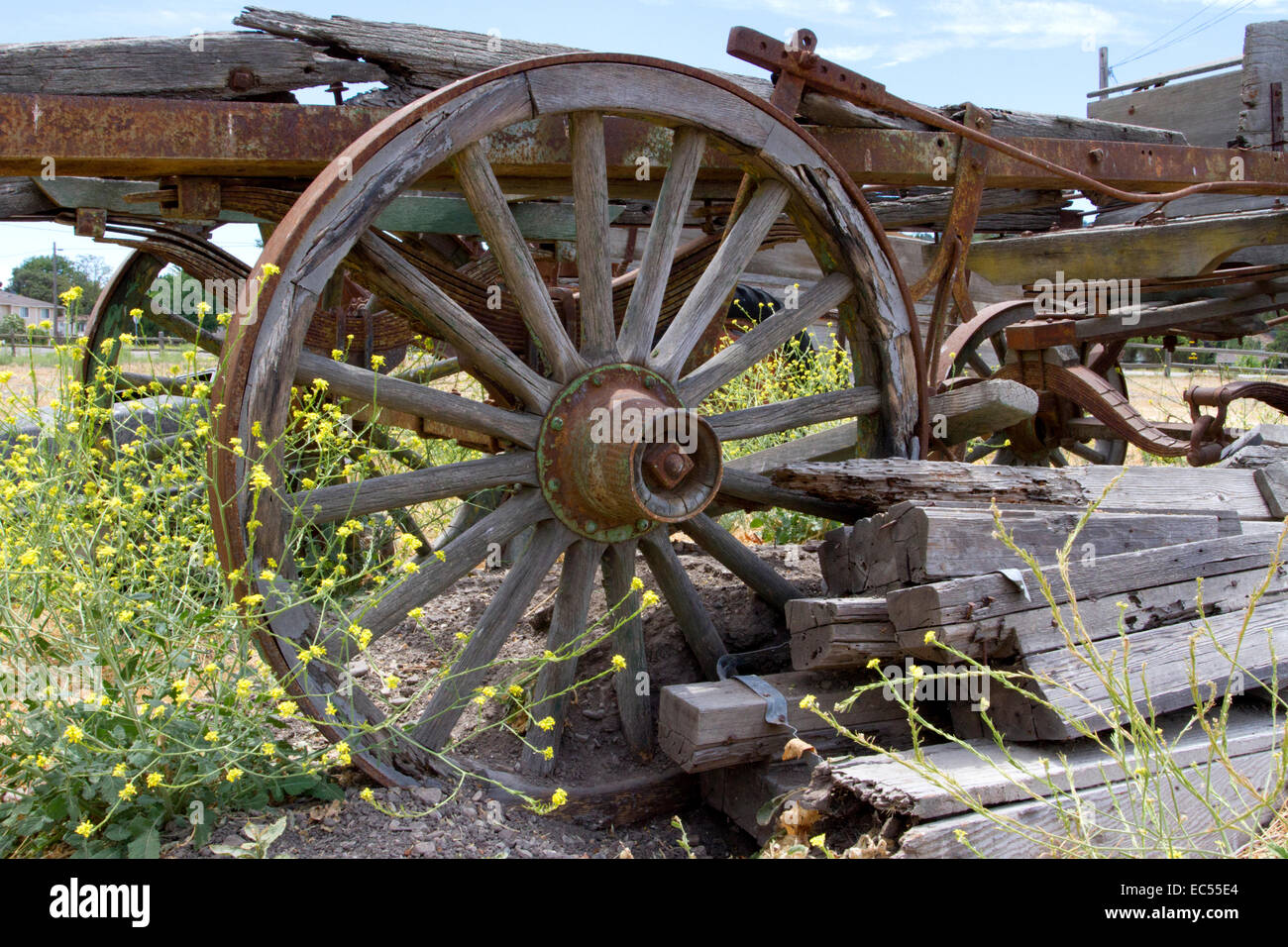 Vecchio appoggiate sul telaio del carro sul display in un campo di Los Alamos, California, Stati Uniti d'America in luglio Foto Stock