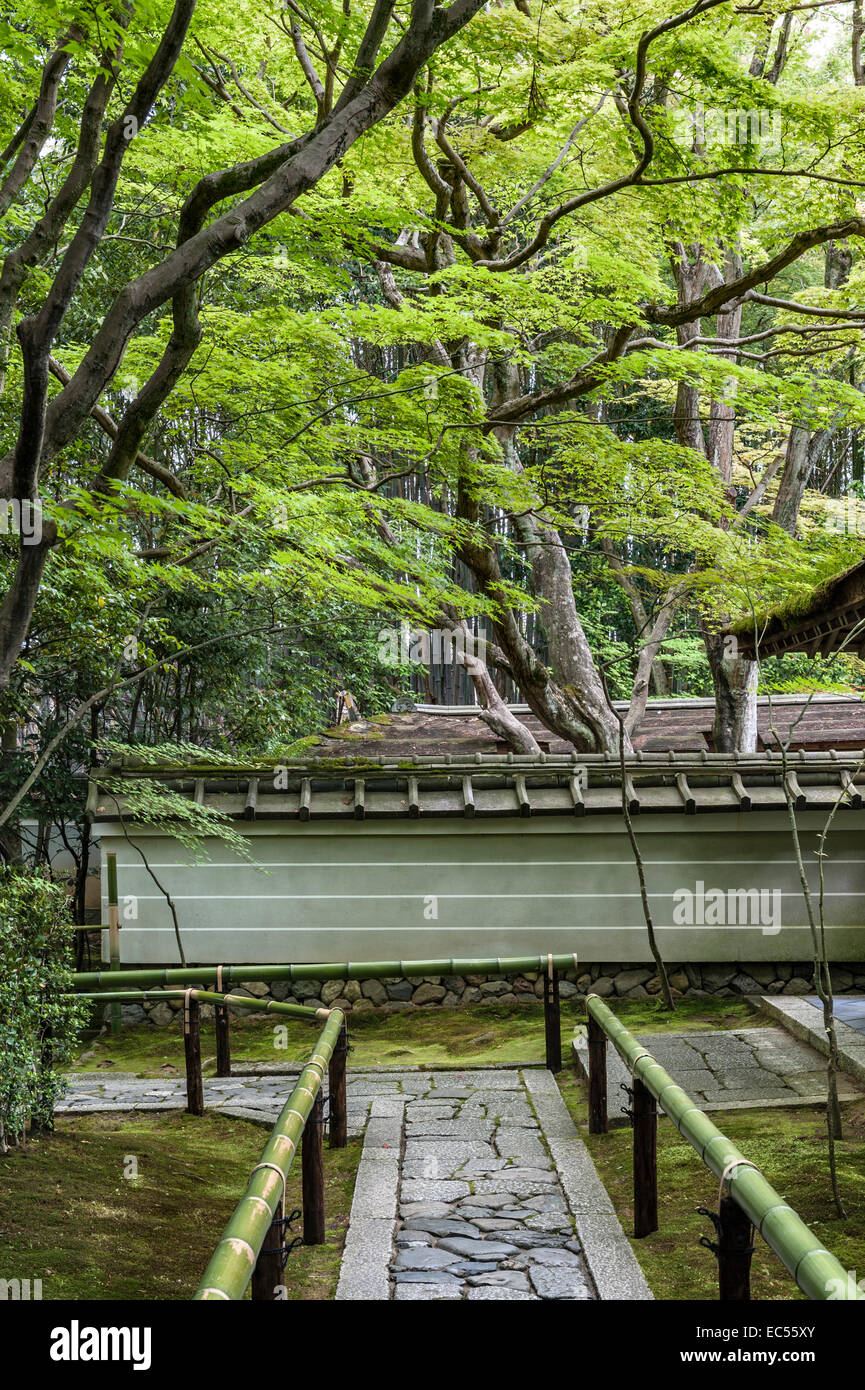 Il percorso d'ingresso al tempio Koto-in-zen, un sottotempio del complesso Daitoku-ji, Kyoto, Giappone Foto Stock