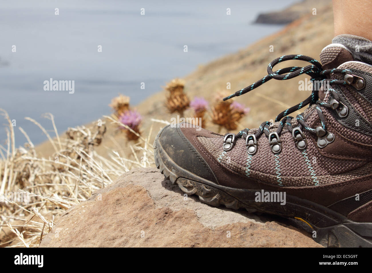 Scarpa da trekking Foto Stock