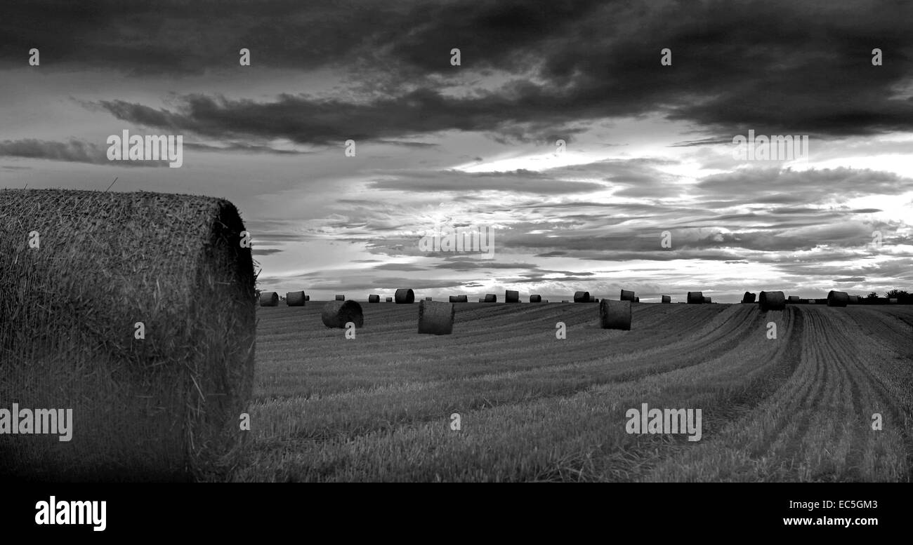 Le balle di paglia su una abgeerntetes campo di grano in autunno Foto Stock