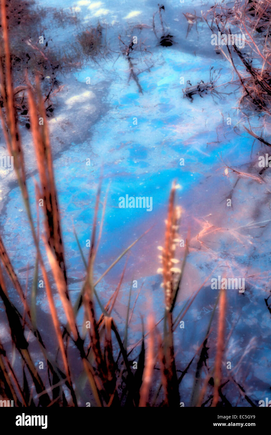 Una vecchia foto di una fuoriuscita di olio Foto Stock