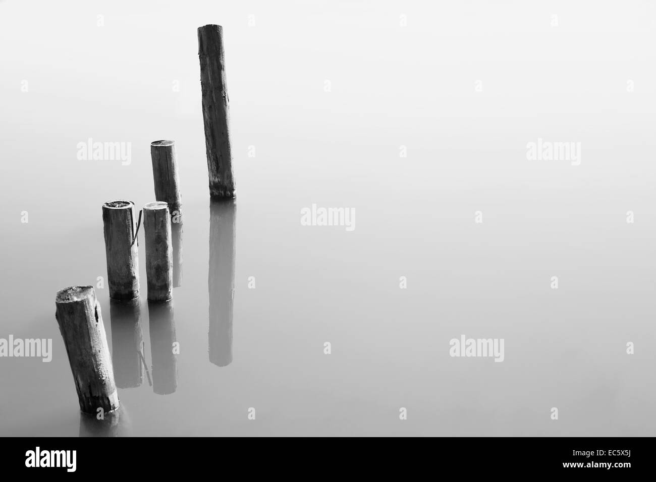 Posti di legno in acqua e in bianco e nero Foto Stock