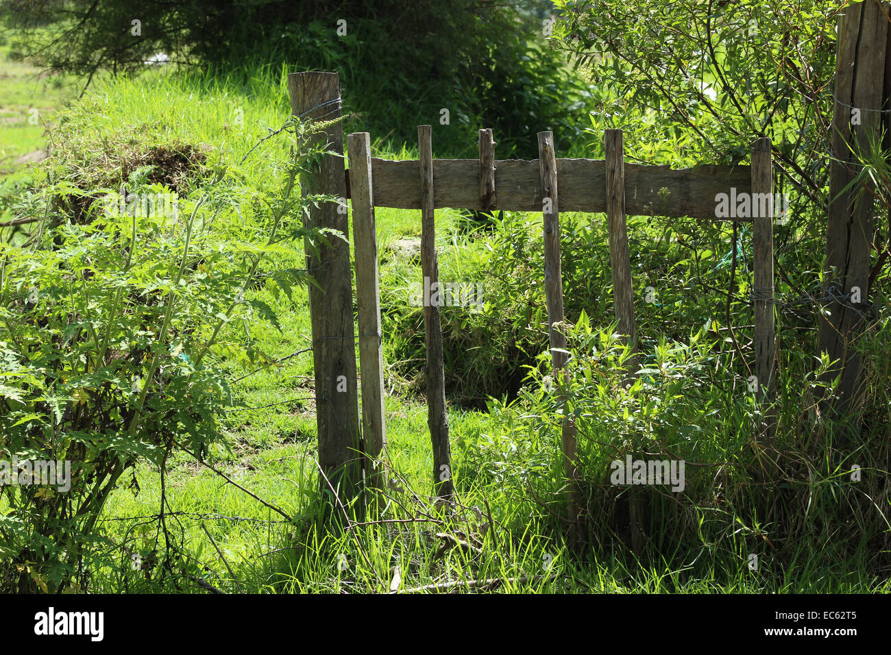 Un cancello di legno in un pascolo di agricoltori in Cotacachi, Ecuador Foto Stock