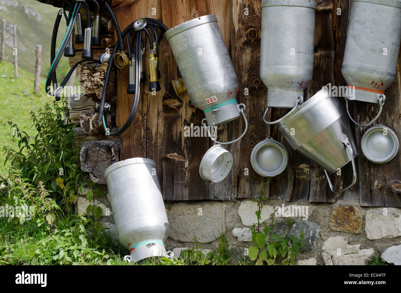 Bidone di latte su un alm Foto Stock