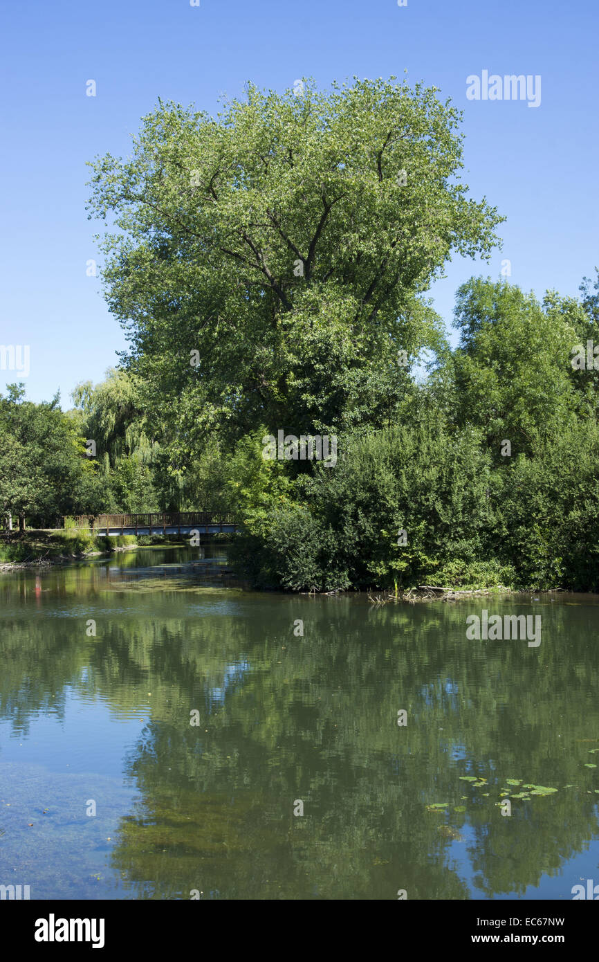 Il paesaggio sul fiume Lippe, Lippstadt, Venedig di Westfalia, Renania settentrionale-Vestfalia, Germania, Europa Foto Stock