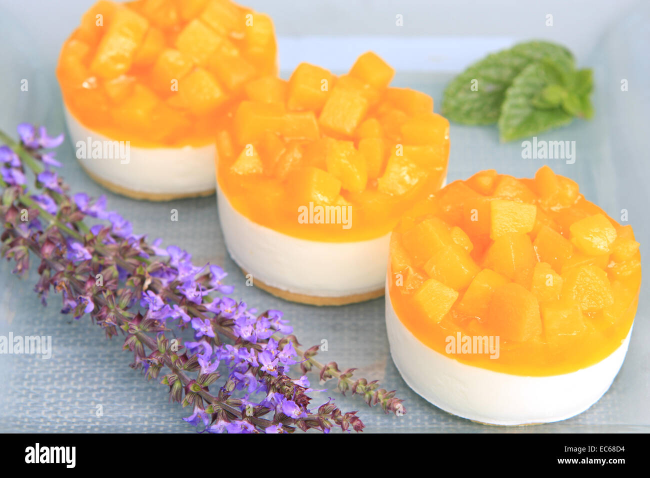 Peach Yogurt Tart Foto Stock