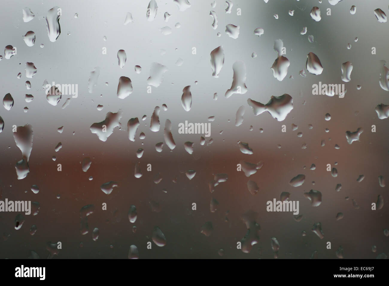 Le gocce di pioggia Foto Stock