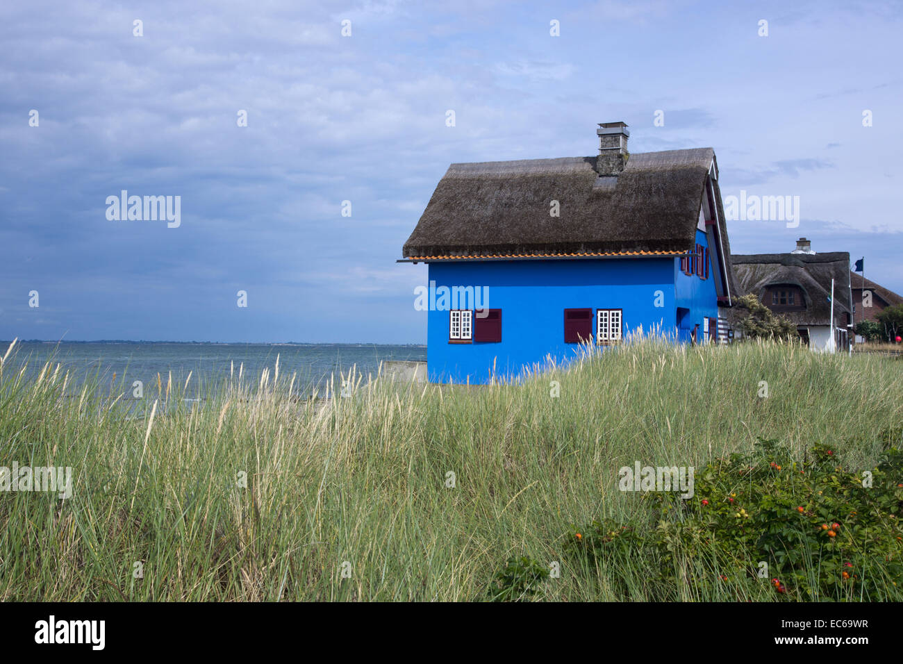 Case in paglia, Heiligenhafen-Graswarden, distretto Ostholstein, Schleswig-Holstein, Germania, Europa Foto Stock