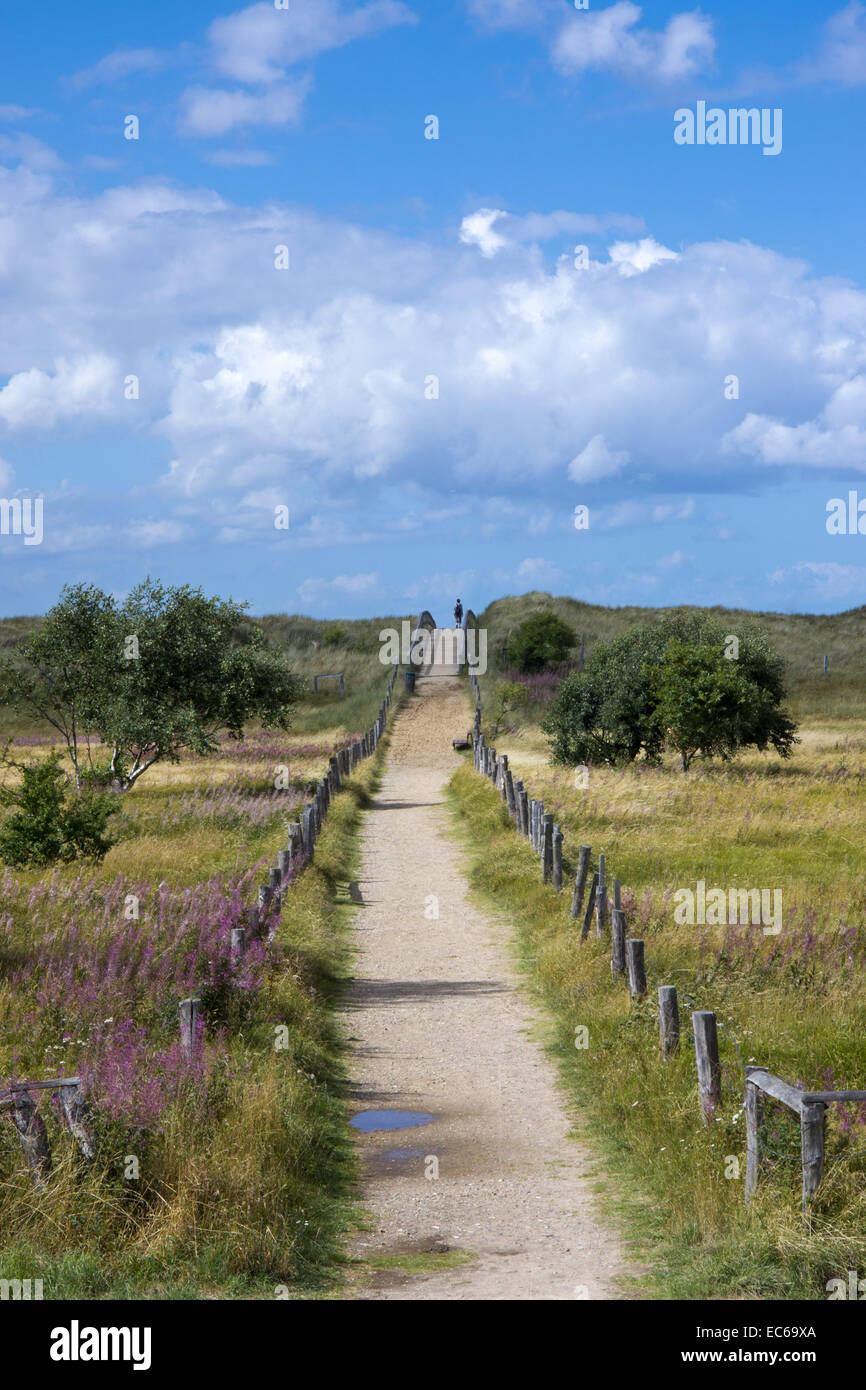 Percorso attraverso le dune, Weissenhauser Strand, Hohwachter Bucht, Mar Baltico, Schleswig-Holstein, Germania, Europa Foto Stock